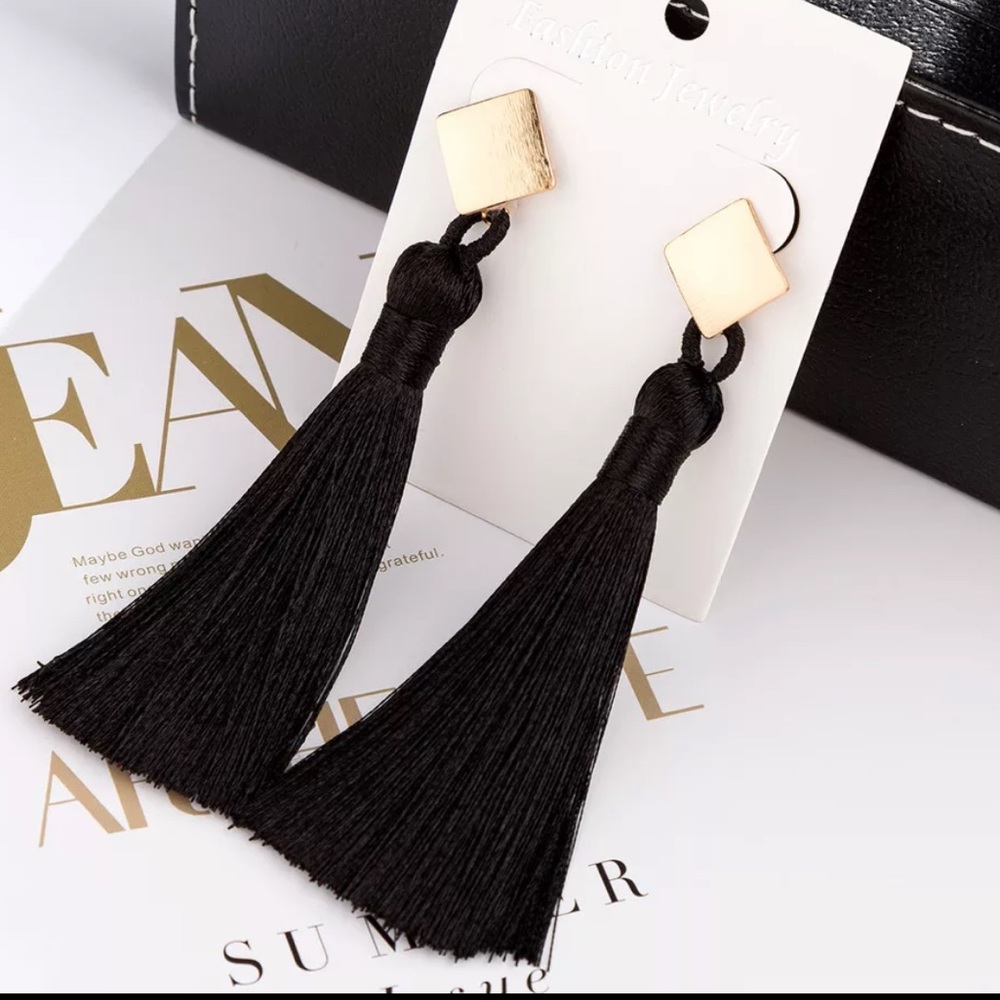 NWOT Tassel Earrings
